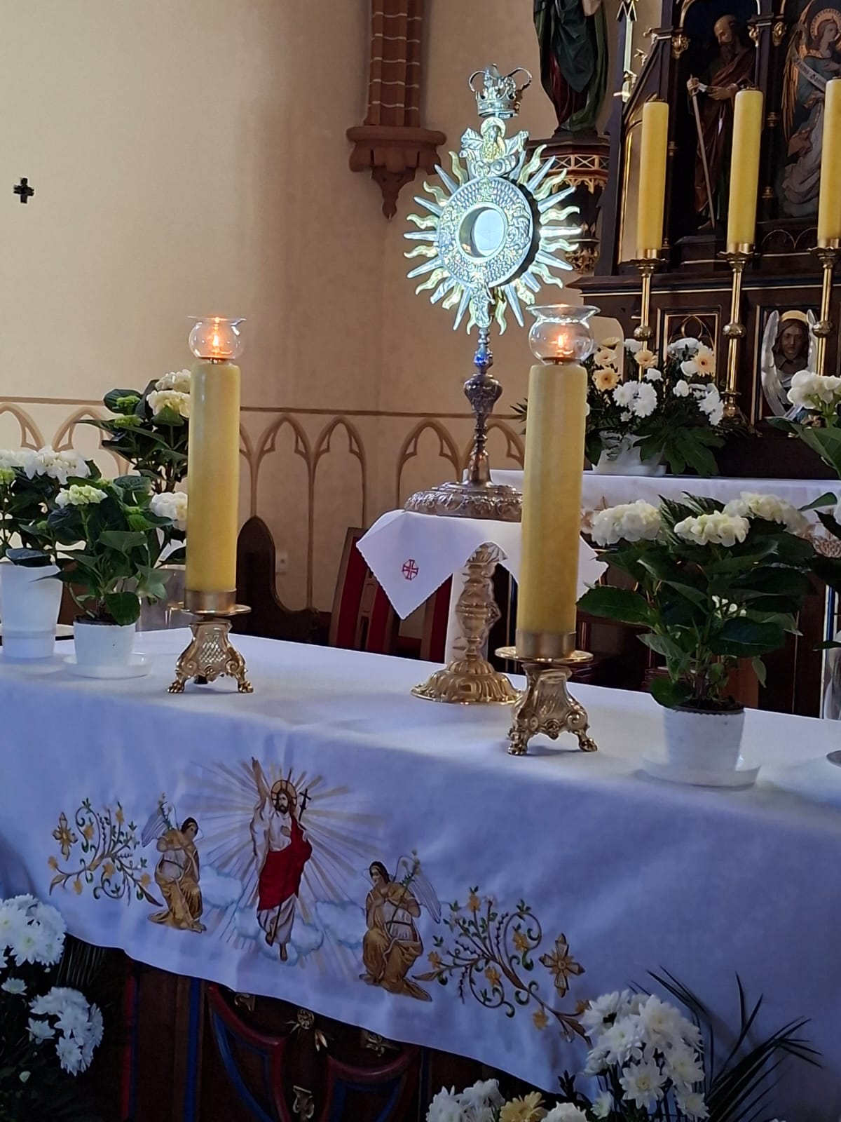 whatsapp-image-2026-04-12-at-20-49-21-2