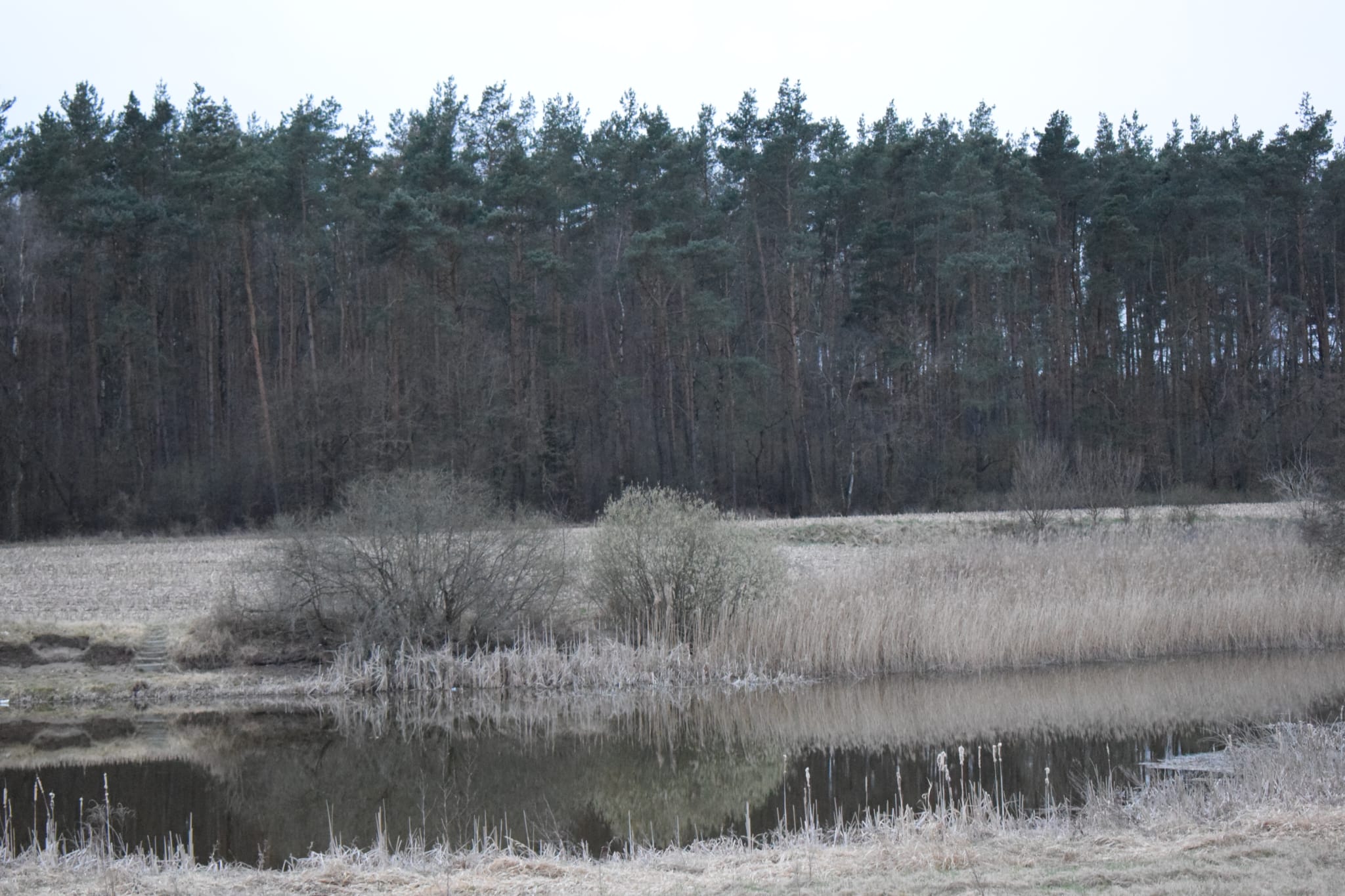 whatsapp-image-2026-04-12-at-20-50-19-1