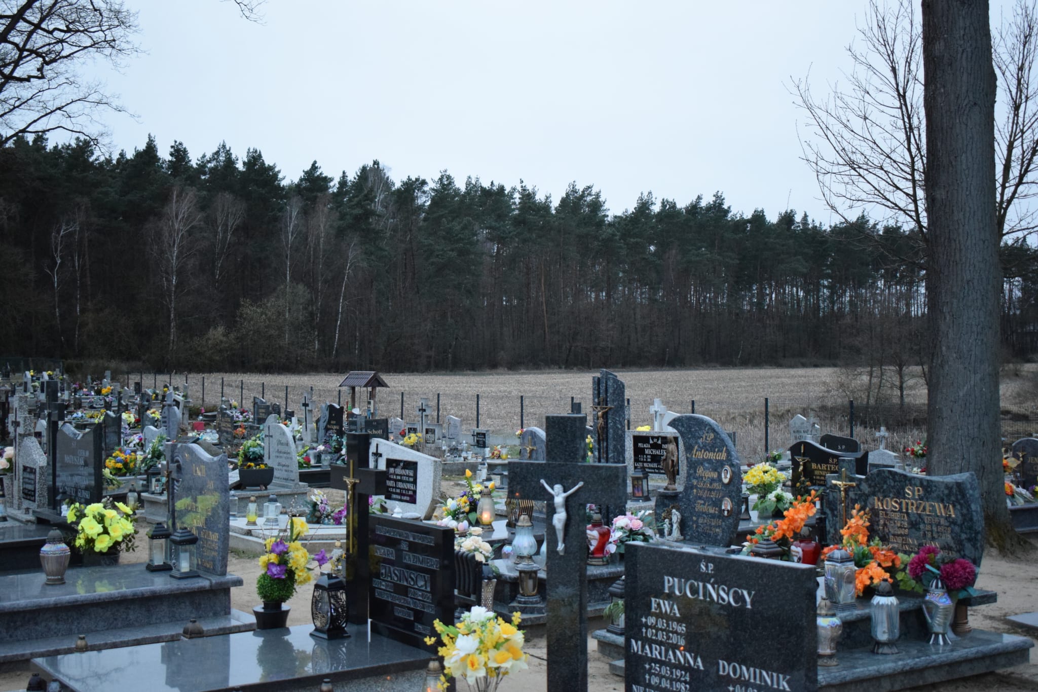 whatsapp-image-2026-04-12-at-20-50-19-3