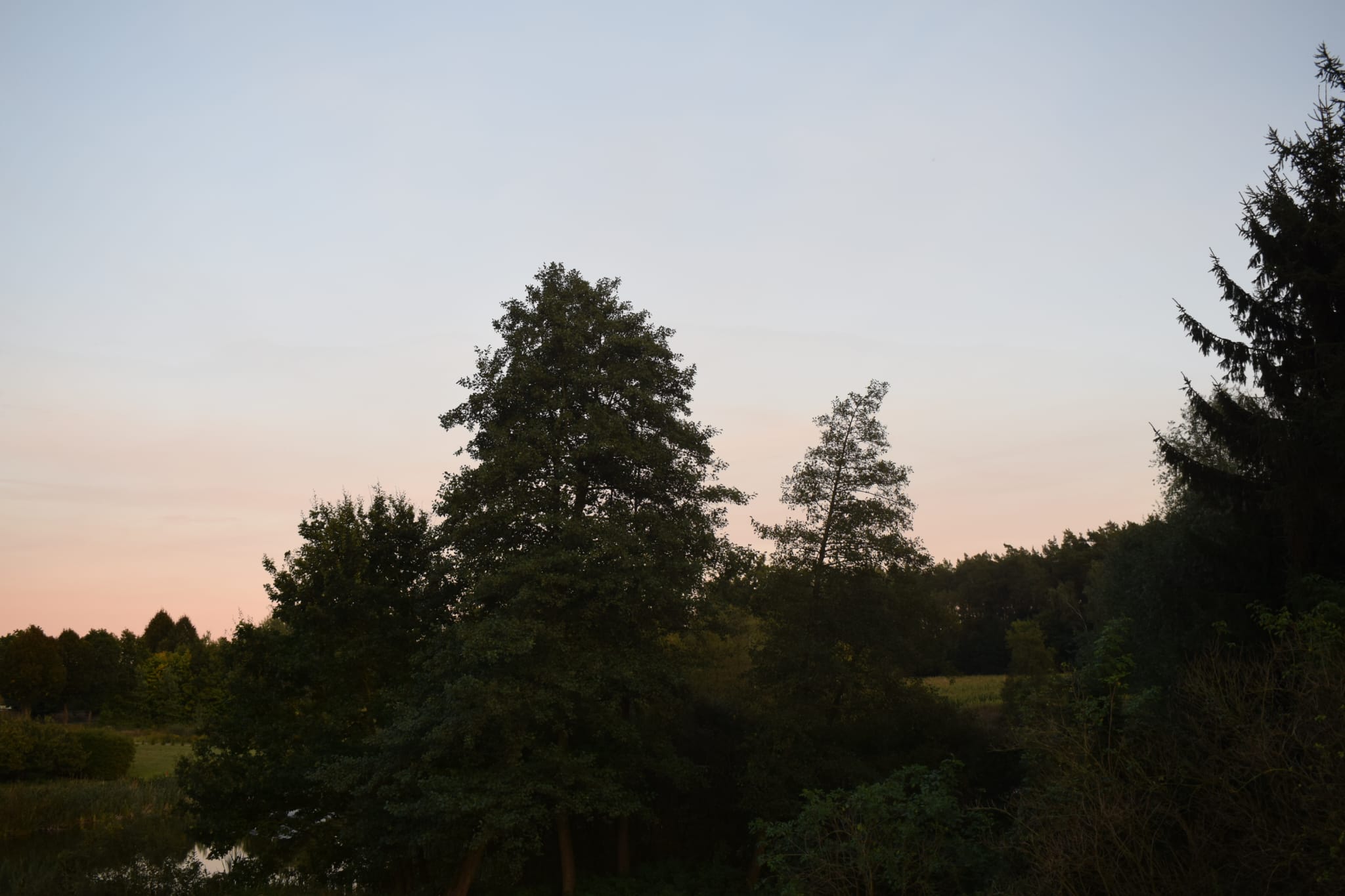 img-20250927-wa0035
