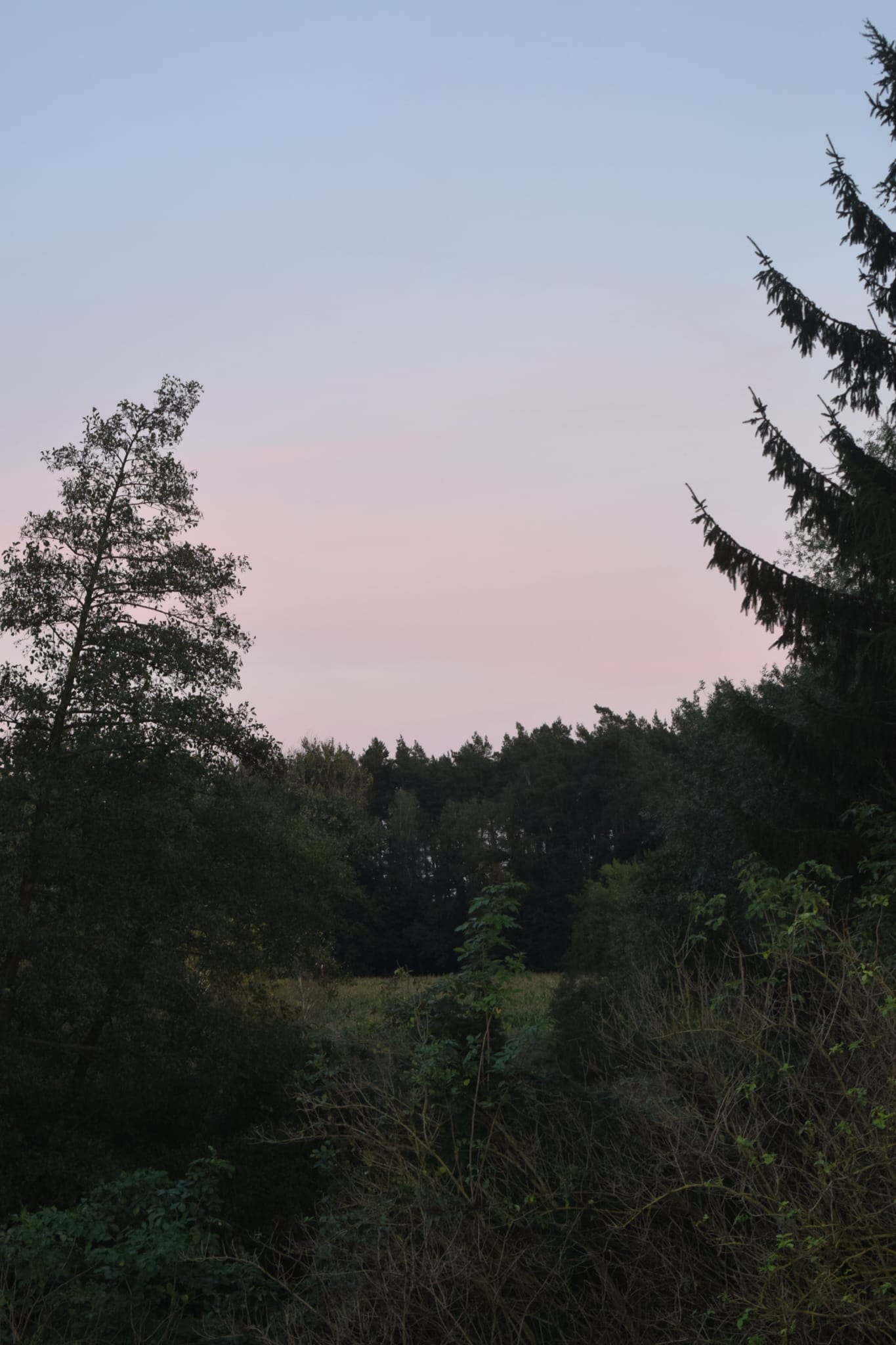 img-20250927-wa0044